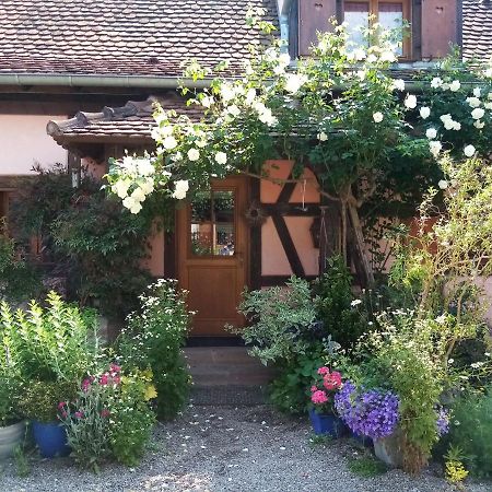 Hissele Bed & Breakfast Hilsenheim ภายนอก รูปภาพ