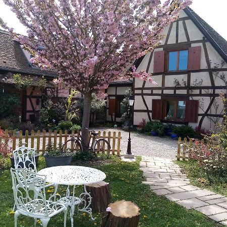 Hissele Bed & Breakfast Hilsenheim ภายนอก รูปภาพ