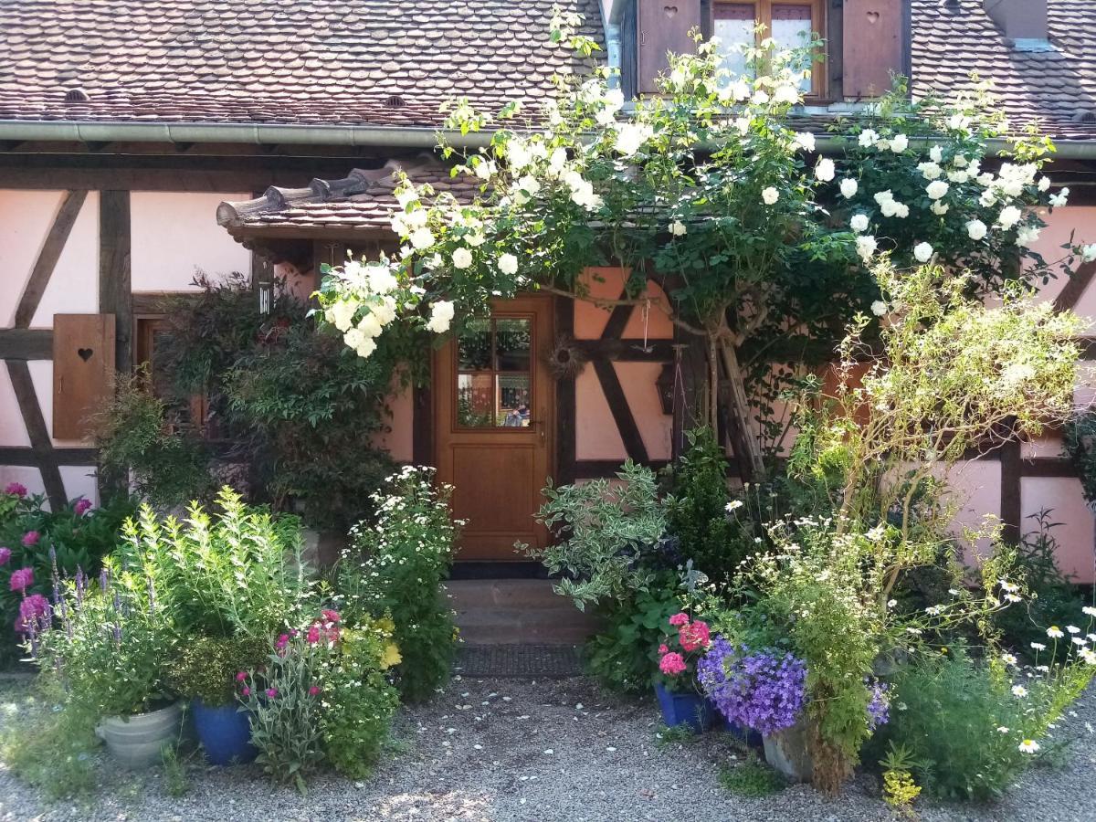 Hissele Bed & Breakfast Hilsenheim ภายนอก รูปภาพ