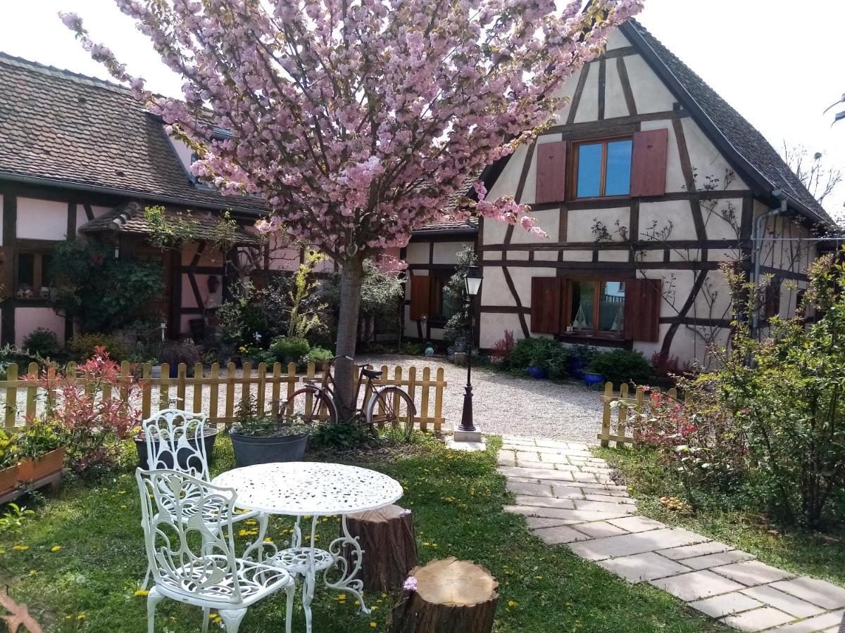 Hissele Bed & Breakfast Hilsenheim ภายนอก รูปภาพ